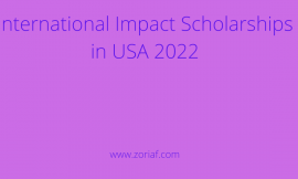 International Impact Scholarships in USA 2022