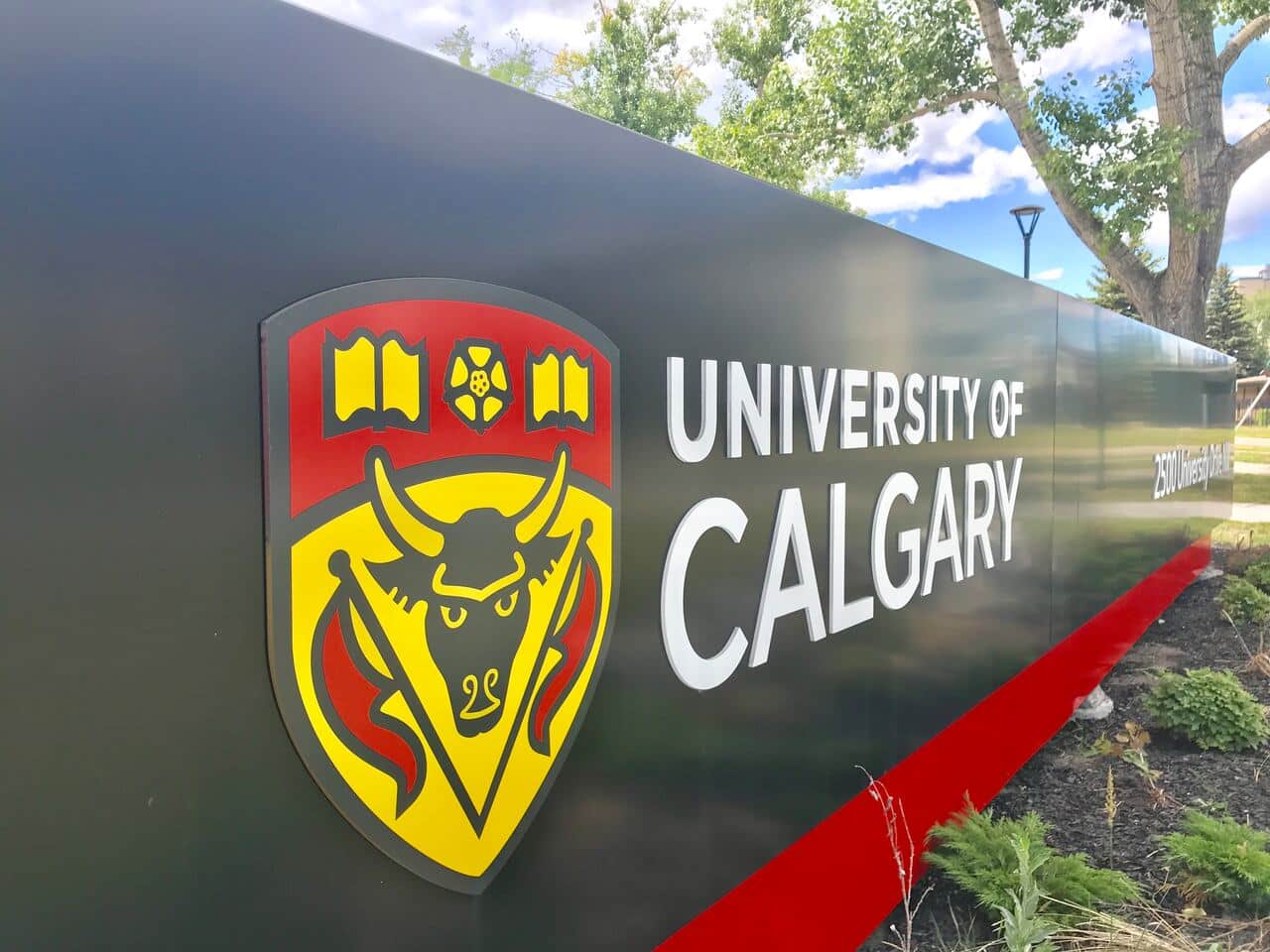 Partial Fellowship Programme at University of Calgary in Canada
