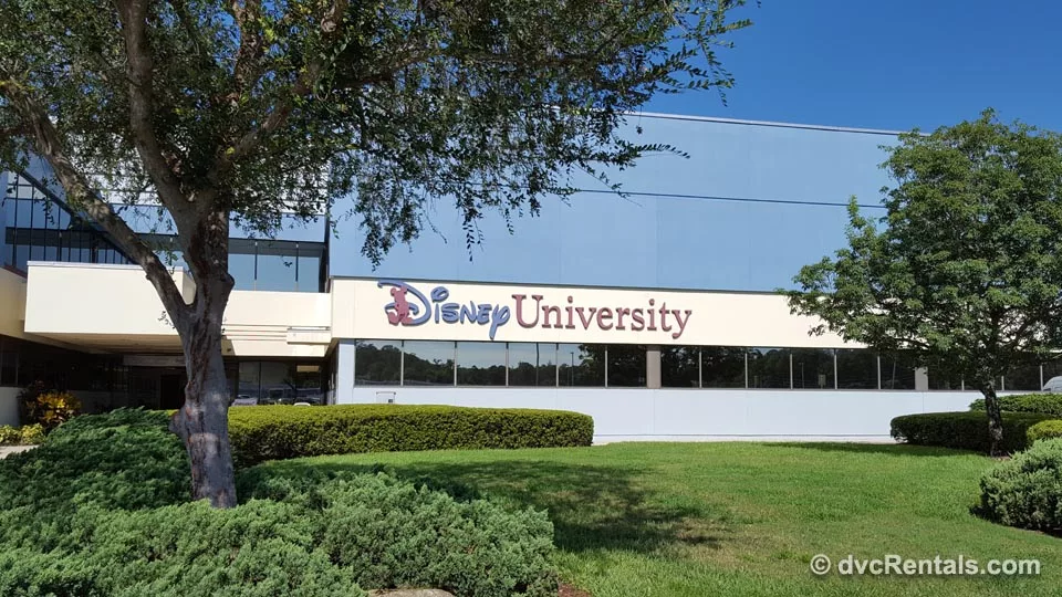 Disney University Acceptance Rate